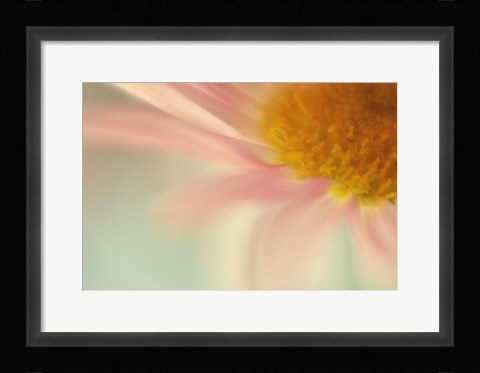 Framed Whisper Print