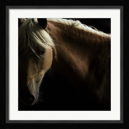 Framed Spirit Horse Print