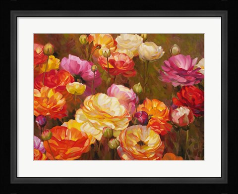 Framed Ranunculus Garden Print