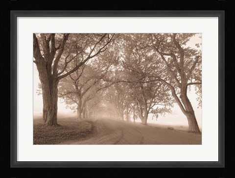 Framed Guardians of the Road Print