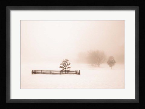 Framed Isolated Print
