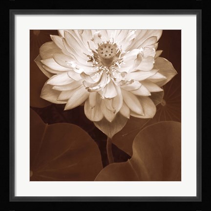 Framed Lotus Welcome Print