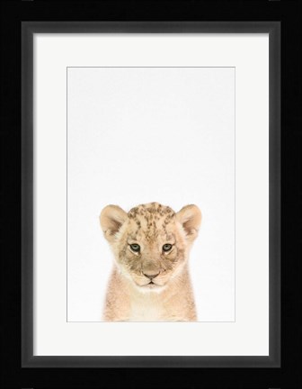 Framed Baby Lion Print