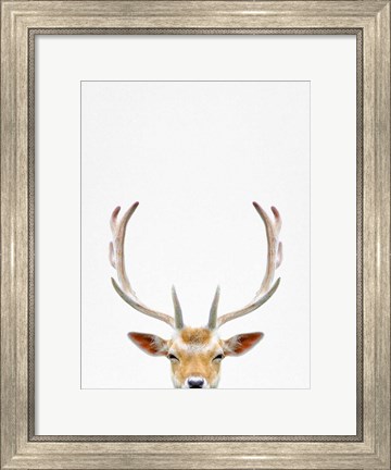 Framed Deer Print