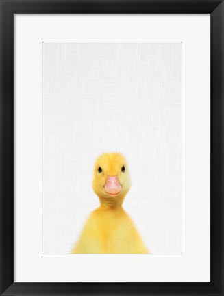 Framed Duck Print
