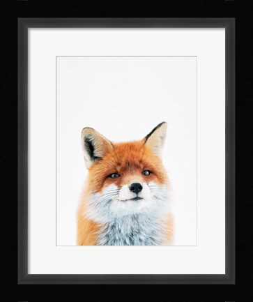 Framed Fox Print