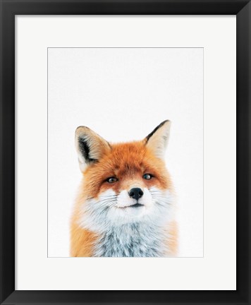 Framed Fox Print