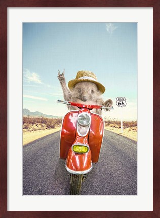 Framed Hedgehog Traveler Print
