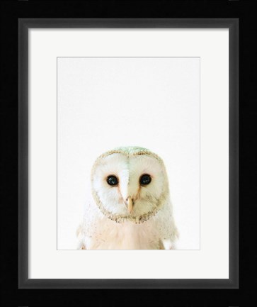 Framed Owl Print