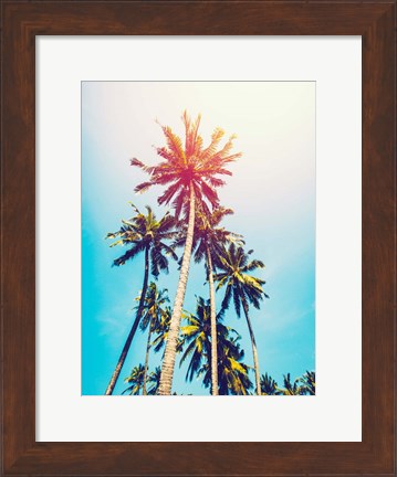 Framed Palms in the Sun Print