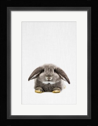Framed Rabbit II Print