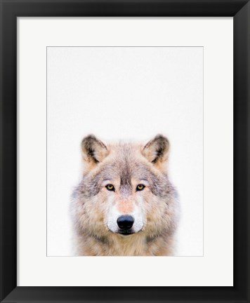 Framed Wolf Print