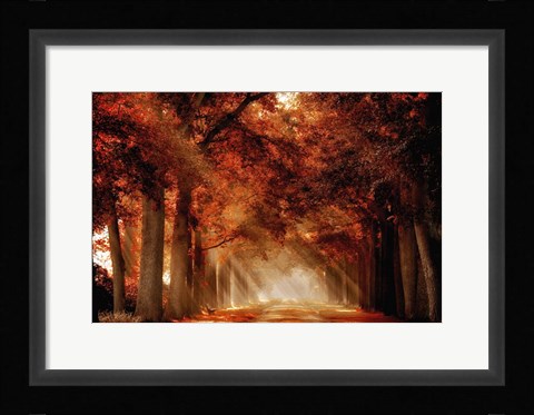 Framed Seat Not Taken Print