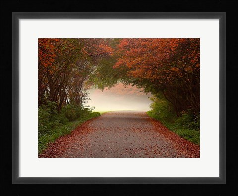 Framed Arc de Triomphe Print