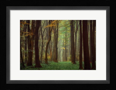 Framed Arriving Nowhere Print