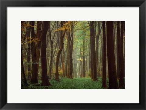 Framed Arriving Nowhere Print