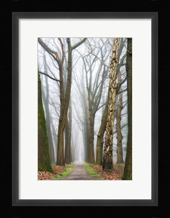 Framed At the End You Will Find a New Beginning Print