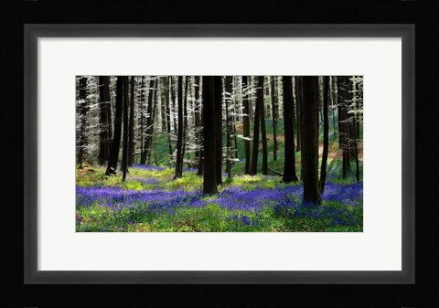 Framed Blue Silver Print