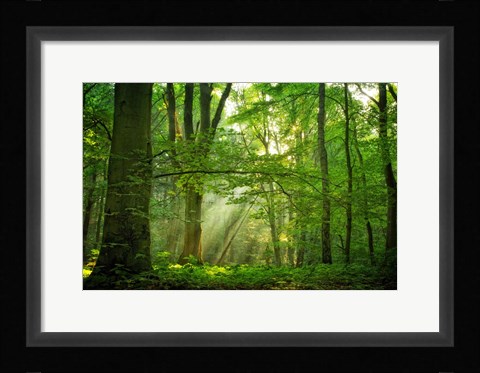 Framed Breathe Print