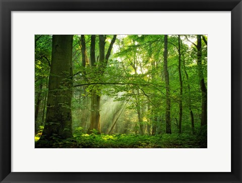 Framed Breathe Print