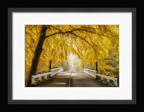 Framed Bridge to Fall III Print