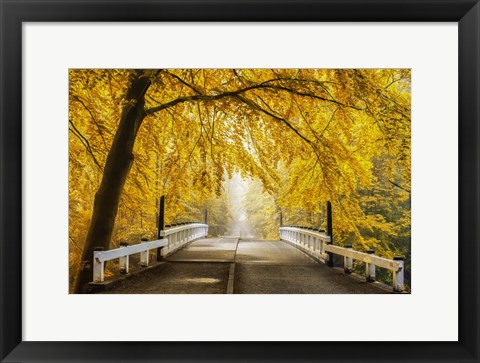 Framed Bridge to Fall III Print