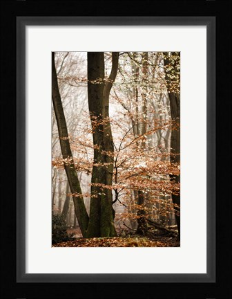 Framed Bronze Tree Print
