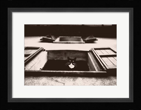 Framed Dali the Cat Print