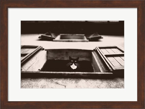 Framed Dali the Cat Print