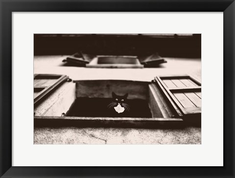 Framed Dali the Cat Print