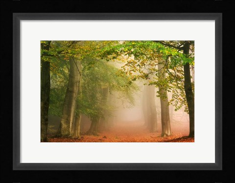 Framed Dreambridge Print