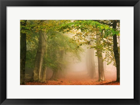 Framed Dreambridge Print