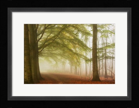 Framed Dreamwalkers Print