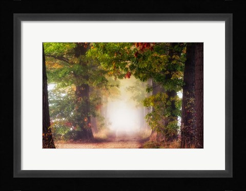 Framed Fall Colors Print