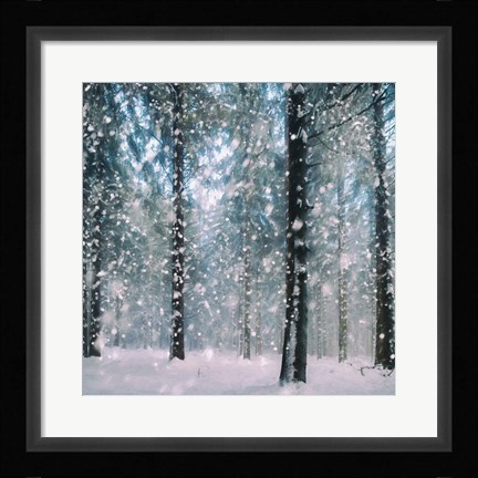 Framed Flakes Print