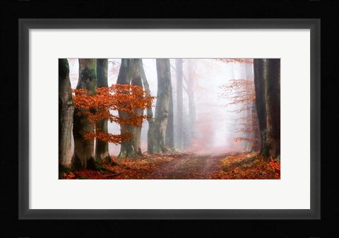 Framed Last Guide before the Mist Print