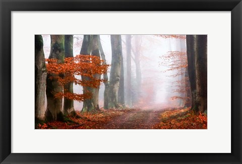 Framed Last Guide before the Mist Print