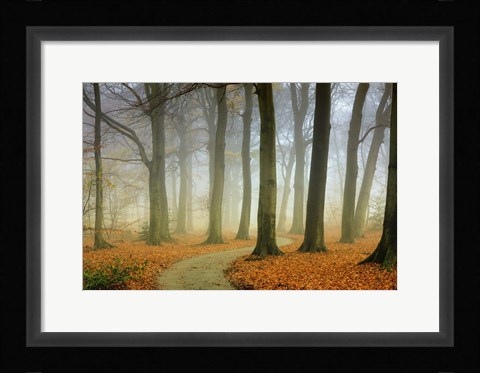 Framed Misty Twisty Print