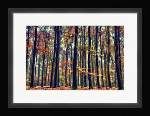 Framed Nature's Palette Print