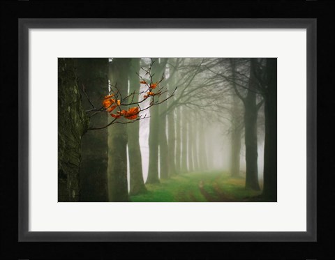 Framed Old &amp; New Print