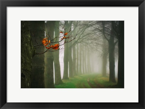 Framed Old &amp; New Print