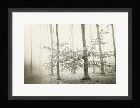 Framed Only for Unicorns Print