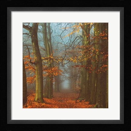 Framed Path of The Mystics Print