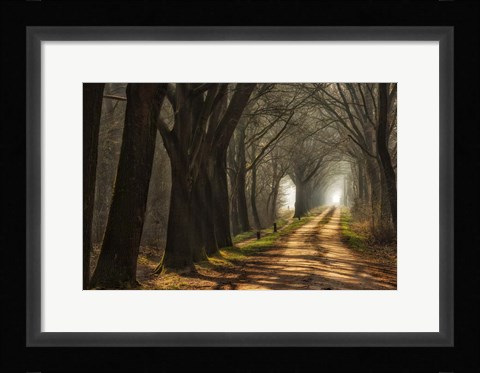 Framed Paths Print