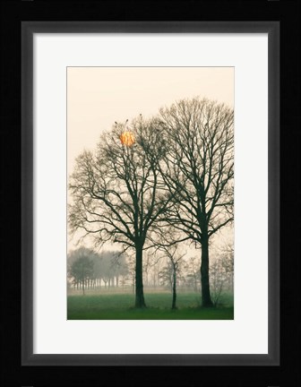 Framed Preparing for Sunset Print