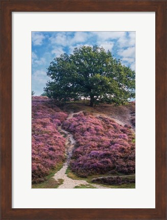 Framed Purple Heath Print