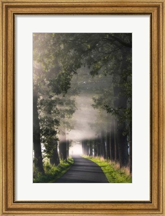 Framed Rays of Fog Print