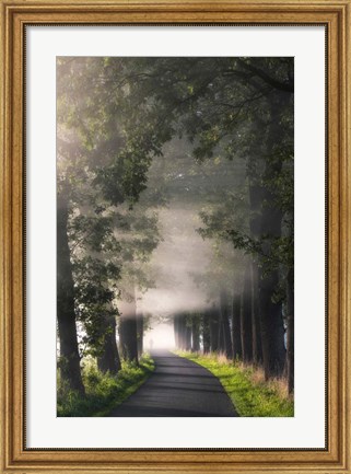 Framed Rays of Fog Print