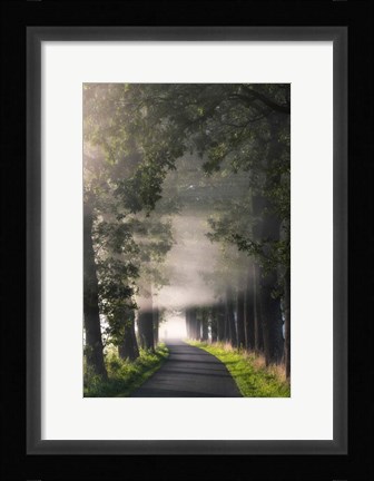 Framed Rays of Fog Print