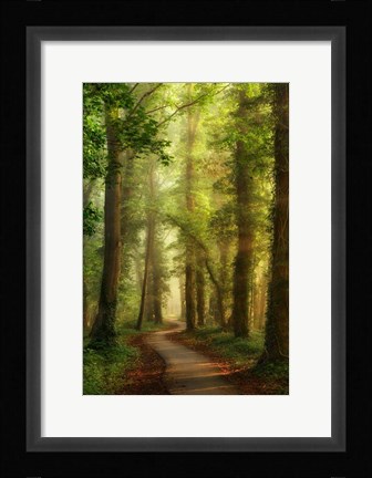 Framed Snake Path Print